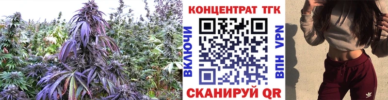 Дистиллят ТГК Wax где купить наркоту Демидов